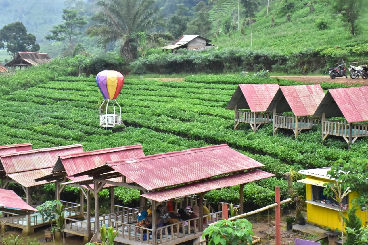 Tebing 15 Meter Ambruk! Akses Kebun Teh Cisoka Sumedang Tertutup Total Usai Hujan Deras