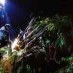 Tebing Setinggi 15 Meter Longsor di Sumedang, Akses Kebun Teh Cisoka Lumpuh Total