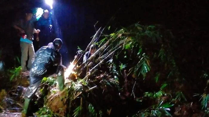 Tebing Setinggi 15 Meter Longsor di Sumedang, Akses Kebun Teh Cisoka Lumpuh Total