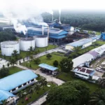 Terobosan Baru di Torganda: Pilot Project Peremajaan Sawit Siap Guncang Industri