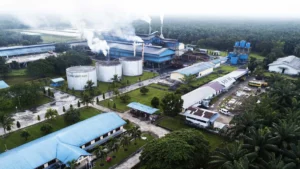 Terobosan Baru di Torganda: Pilot Project Peremajaan Sawit Siap Guncang Industri