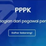 Tiga Langkah Ampuh Akhiri Krisis PPPK dan Tenangkan P3K PW: Solusi Tanpa PHK!