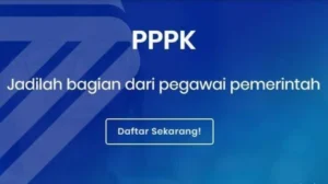 Tiga Langkah Ampuh Akhiri Krisis PPPK dan Tenangkan P3K PW: Solusi Tanpa PHK!