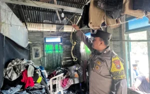 Tragedi di Texas: Siswa SMA Menembak Guru, Lalu Mengakhiri Hidupnya Sendiri