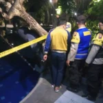 Tragedi Kolam Renang: Bagaimana Enzo, Balita 4 Tahun, Berjuang Melawan Tonic Seizures Pasca Cedera Otak