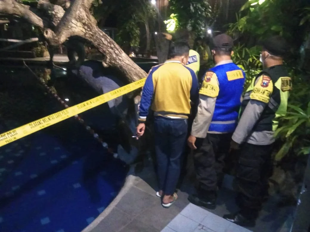 Tragedi Kolam Renang: Bagaimana Enzo, Balita 4 Tahun, Berjuang Melawan Tonic Seizures Pasca Cedera Otak