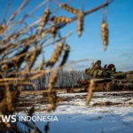 Ukraina Desak Israel Sita Kapal Gandum Rusia di Haifa: Tuduhan Curian dan Dampak Geopolitik