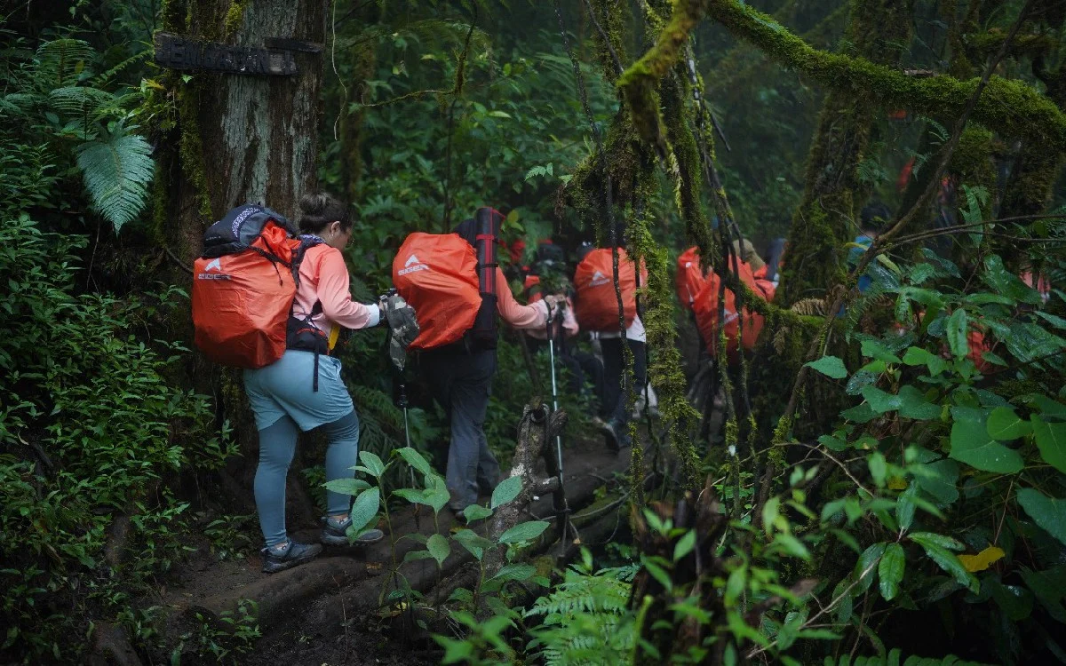 Wendy Walters Bercengkerama dengan Anak‑anak Basecamp Gunung Leuser: Momen Hangat di Balik Pendakian