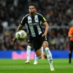 William Osula: Bintang Muda Newcastle yang Bikin Arsenal Gigit Jari dan Masa Depan Internasionalnya Terbuka