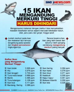 Ancaman Merkuri Mengintai Indonesia: Apa yang Harus Diketahui Publik?