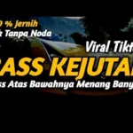 Berbagai Video Viral Memicu Kejutan, Tawa, dan Kontroversi di Media Sosial