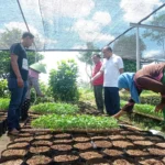 Bupati Sutjidra Dorong Gerokgak Jadi Sentra Pertanian dan Hortikultura