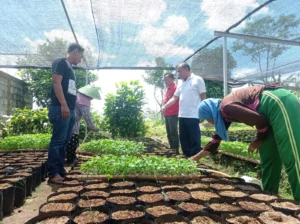 Bupati Sutjidra Dorong Gerokgak Jadi Sentra Pertanian dan Hortikultura