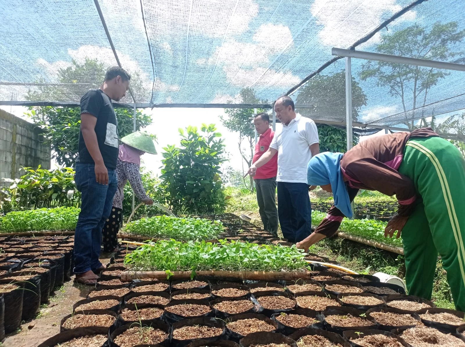 Bupati Sutjidra Dorong Gerokgak Jadi Sentra Pertanian dan Hortikultura