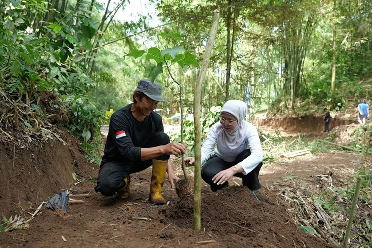 Nuanu Tanam 1.000 Pohon Lokal, Perkuat Restorasi Ekologi dan Ruang Hijau Berkelanjutan