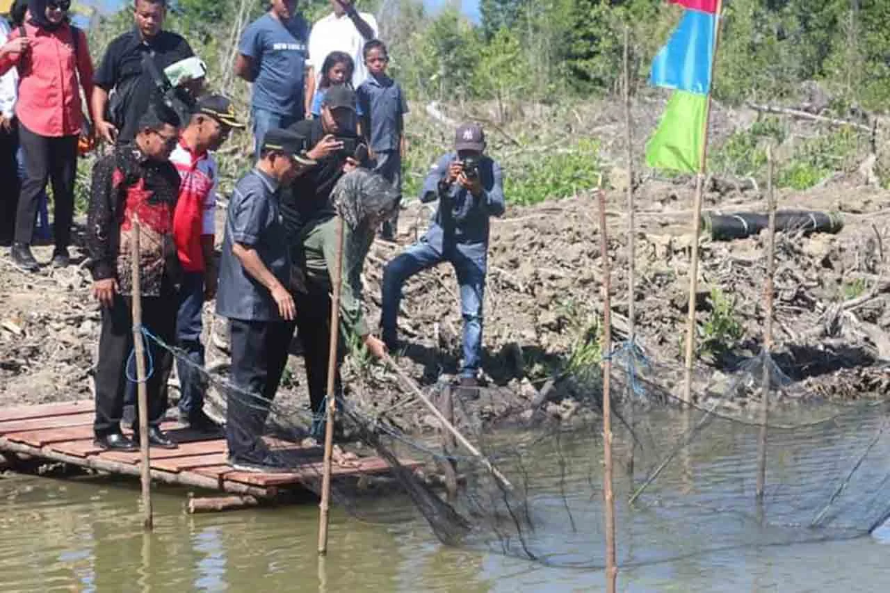 Panen Perdana Bandeng Ekspor di Sumberklampok, Bupati Sutjidra Dorong Gerokgak Jadi "Kampung Bandeng" Nasional