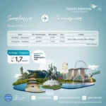 Terbang Lebih Cepat: Rute Baru Singapura–KEK Tanjung Kelayang Resmi Dibuka, Apa Artinya Bagi Penumpang dan Industri?