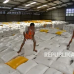 Transparansi Stok Beras Nasional: Menguak Data Swasembada di Tengah Kontroversi Feri Amsari
