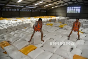Transparansi Stok Beras Nasional: Menguak Data Swasembada di Tengah Kontroversi Feri Amsari