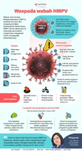 WHO Tegaskan Risiko Hantavirus di Kapal Pesiar Rendah, Publik Diminta Tenang Tanpa Panik
