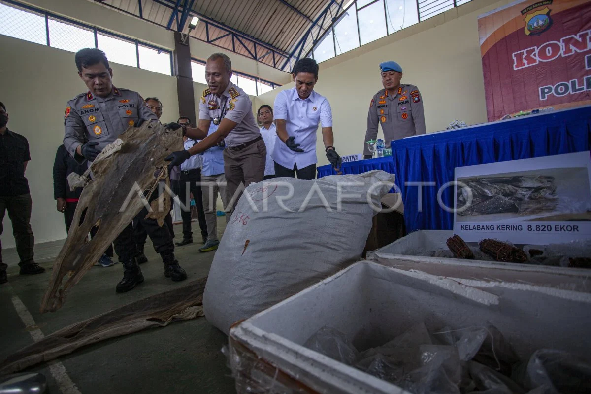 DPO Kasus Karantina Hewan Ditangkap di Denpasar