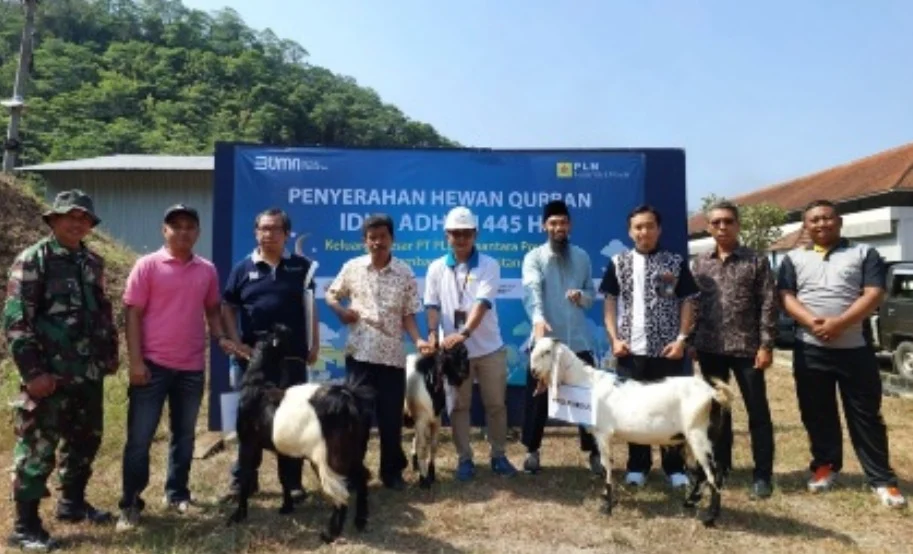 Holding Perkebunan Nusantara Tebar Manfaat Idul Adha, 1.713 Hewan Kurban