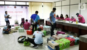 Jakarta Menghadapi Tantangan: Kecelakaan, Sampah, dan Kucing Liar