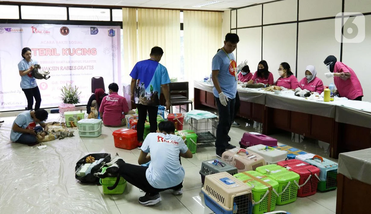 Jakarta Menghadapi Tantangan: Kecelakaan, Sampah, dan Kucing Liar
