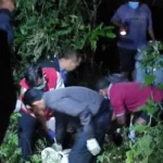Kakek 71 Tahun Ditemukan Membusuk di Semak-semak di Tabanan