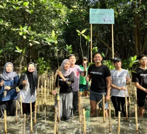 Memuliakan Bumi, Walikota Jaya Negara Ikuti Aksi Tanam 3.000 Pohon Mangrove di Pedungan