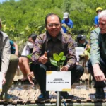 Menteri LH dan Gubernur Koster Pimpin Penanaman Mangrove di Denpasar