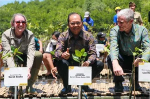 Menteri LH dan Gubernur Koster Pimpin Penanaman Mangrove di Denpasar