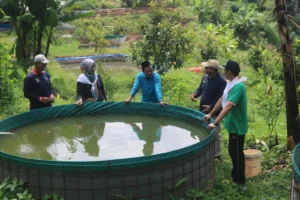 Pemerintah Kota Denpasar Perkuat Ketahanan Pangan dengan Sarana Prasarana Budidaya Ikan