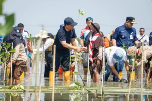 Perkuat Komitmen Keberlanjutan, SUCOFINDO Dukung Aksi Mageri Segoro di Jawa Tengah