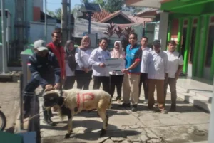 PLN Indonesia Power UBP Jatigede Salurkan Hewan Qurban dan Jaga Keandalan Listrik di Momen Idul Adha