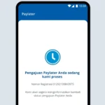 Waspadai Penyalahgunaan Data Pribadi saat Registrasi Paylater, Kenali Modus dan Cara Menghindarinya