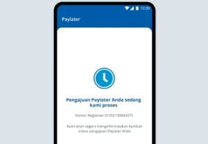 Waspadai Penyalahgunaan Data Pribadi saat Registrasi Paylater, Kenali Modus dan Cara Menghindarinya